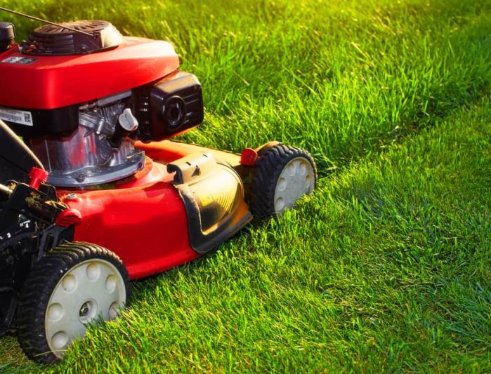 Lawn Mower — Outdoor Power Equipment Southern Highlands, NSW