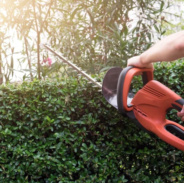 Hedge Trimmer — Outdoor Power Equipment Southern Highlands, NSW
